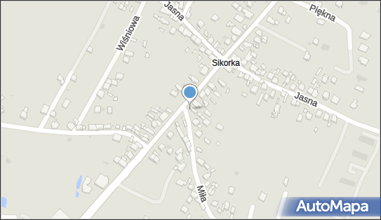 Polskie Przyjazne Dłonie, ul. Rabsztyńska 22, Olkusz 32-300 - Przedsiębiorstwo, Firma, NIP: 6372166881