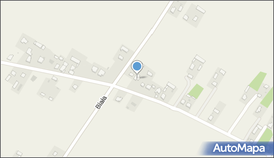 Polsystem Jolanta Niedziułka, Biała 98d, Biała 21-300 - Przedsiębiorstwo, Firma, NIP: 5381678893