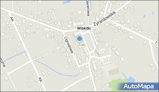 Pomocna Dłoń, Plac Wolności 5, Wiskitki 96-315 - Przedsiębiorstwo, Firma, NIP: 8381208410