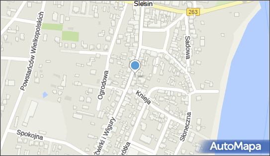 Pośrednictwo Finansowe, ul. Żwirki i Wigury 17, Ślesin 62-561 - Przedsiębiorstwo, Firma, NIP: 6652769735