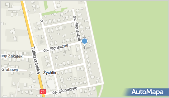 Pośrednictwo Ubezpieczeniowe Andrzejak Danuta Irena, Żychlin 62-571 - Przedsiębiorstwo, Firma, NIP: 6671014067