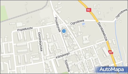 Pośrednictwo Ubezpieczeniowe, ul. Przedrynek 8, Łęczyca 99-100 - Przedsiębiorstwo, Firma, numer telefonu, NIP: 7751063393