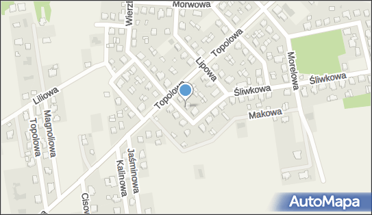 Pośrednictwo Ubezpieczeniowe, ul. Wierzbowa 4, Stare Miasto 62-571 - Przedsiębiorstwo, Firma, NIP: 6652644933