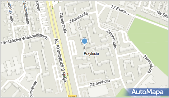 Pośrednictwo, ul. Ludwika Zamenhofa 78, Leszno 64-100 - Przedsiębiorstwo, Firma, NIP: 6971577863