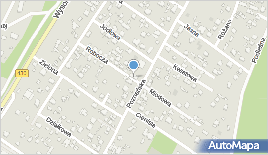 Pozmed, Poznańska 36, Puszczykowo 62-040 - Przedsiębiorstwo, Firma, numer telefonu, NIP: 7773135438