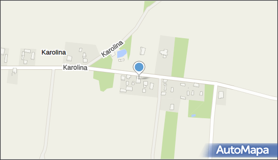 PPH Cesa, Karolina 4, Karolina 96-314 - Przedsiębiorstwo, Firma, NIP: 5291611170