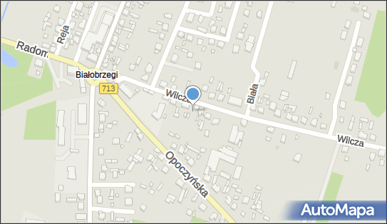 PPHU Anna M., Wilcza 18, Tomaszów Mazowiecki 97-200 - Przedsiębiorstwo, Firma, NIP: 7731812696