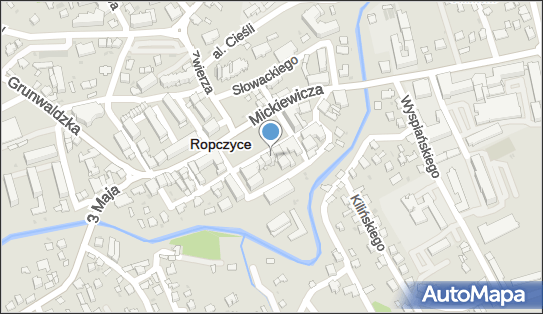 PPHU Malaga Siorek Barbara, Ropczyce, pl. Rynek 4, Ropczyce 39-100 - Przedsiębiorstwo, Firma, NIP: 8181150775