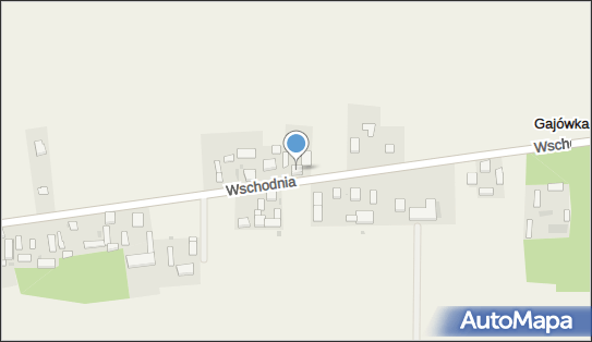 PPHU, Wschodnia 49, Dalików 99-205 - Przedsiębiorstwo, Firma, numer telefonu, NIP: 8281133629