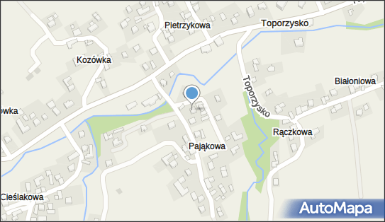 Prace w Zakresie Hodowli Lasu, Toporzysko 46, Toporzysko 34-785 - Przedsiębiorstwo, Firma, NIP: 7351600060