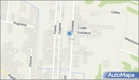 Pracownia Geodezyjna Logiton Łukasz Pękacki, Bielicha 80a 26-600 - Przedsiębiorstwo, Firma, NIP: 9481103220