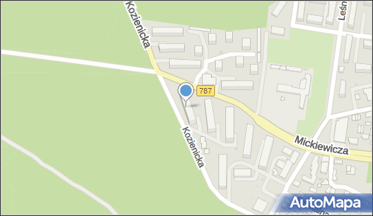 Pracownia Geodezyjno Projektowa Geo Point, Kozienicka 28, Pionki 26-670 - Przedsiębiorstwo, Firma, numer telefonu, NIP: 7962519482