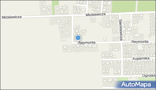 Pracownia Mody Ślubnej i Wieczorowej Natalia Włodzimierz Sopniewski 63-322 - Przedsiębiorstwo, Firma, NIP: 6171044444