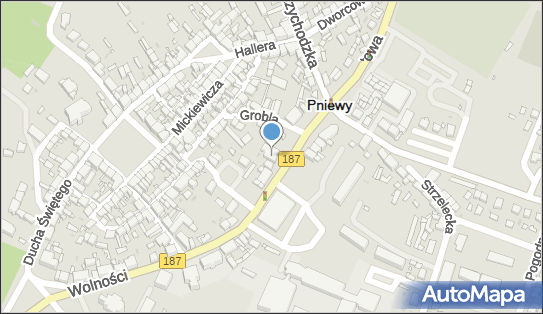 Pracownia Optyczna.- Ewa Nowak, Wolności 29, Pniewy 62-045 - Przedsiębiorstwo, Firma, NIP: 7871970248