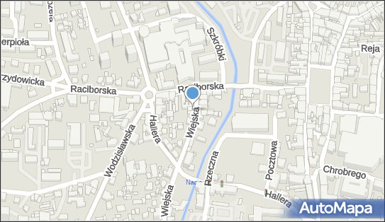 6421178187, Pracownia Protetyczna Dudzik Bogumiła 