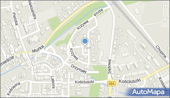 Pracownia Rysunku i Malarstwa, ul. Bolesława Prusa 12, Olesno 46-300 - Przedsiębiorstwo, Firma, NIP: 5761308932