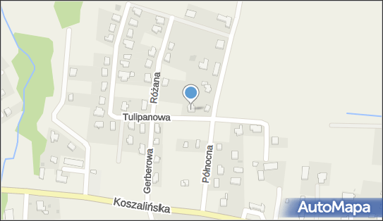 Pracownia Terapii i Psychoedukacji Marta Rommel, ul. Tulipanowa 4 76-031 - Przedsiębiorstwo, Firma, NIP: 6691489885