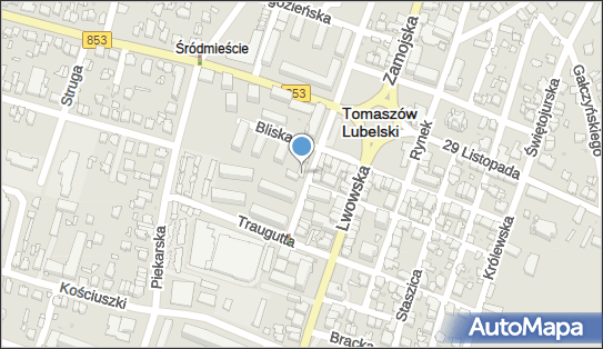 Pracownia Złotnicza - Daniel Raczkiewicz, Tomaszów Lubelski 22-600 - Przedsiębiorstwo, Firma, NIP: 9211024025