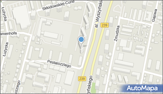 5542537118, Mateusz Kusiak 