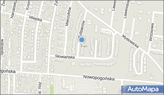 Praktyka Lekarska Wyłącznie w Miejscu Wezwania Agnieszka Suchoszek Sandelewska 41-250 - Przedsiębiorstwo, Firma, NIP: 6251526843