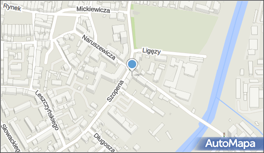 Praktyka Lekarska, ul. Fryderyka Szopena 1, Rzeszów 35-055 - Przedsiębiorstwo, Firma, NIP: 8131607296