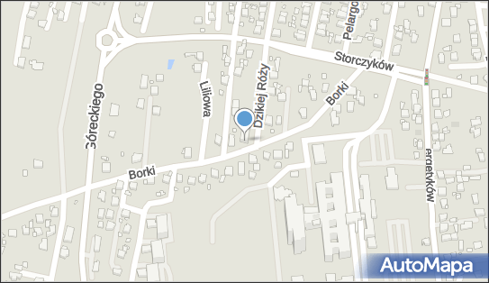 Praktyka Lekarska, ul. Borki 20, Rybnik 44-200 - Przedsiębiorstwo, Firma, numer telefonu, NIP: 6471708256