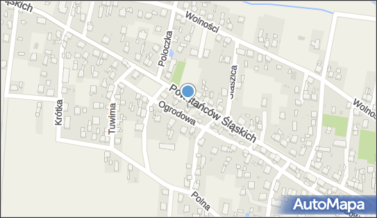 6482509767, Praktyka Lekarska Anna Gryszka 