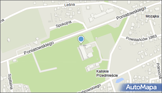 Praktyka Pielęgniarek Piasecka, ul. Józefa Poniatowskiego 21 62-600 - Przedsiębiorstwo, Firma, NIP: 6661107927