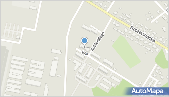 8431133052, Praktyka Pielęgniarska - Izabela Bujnicka 