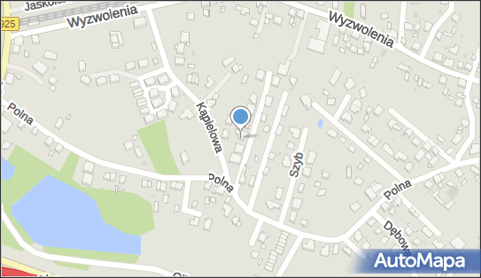 Praktyka Specjalisty Anestezjologii i Intensywnej Terapii Witold Kandziora 41-710 - Przedsiębiorstwo, Firma, NIP: 6341898815