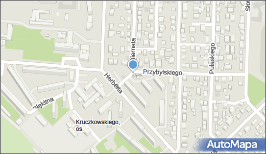 060195095, Aleksander Ciechański Praktyka w Miejscu Wezwania 