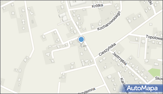 Prasa Lokalna Wydawnictwo, ul. Kopernika 5, Mnich 43-520 - Przedsiębiorstwo, Firma, numer telefonu, NIP: 5480059495