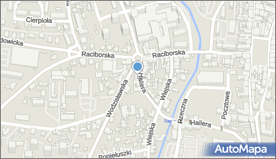 Prawdziuk Adelajda Salon Modniarski Ada, ul. gen. Hallera 27 44-200 - Przedsiębiorstwo, Firma, NIP: 6511017045