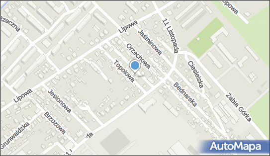 PrimeCoders Szymon Suchodoła, Topolowa 4, Hajnówka 17-200 - Przedsiębiorstwo, Firma, NIP: 5432008034