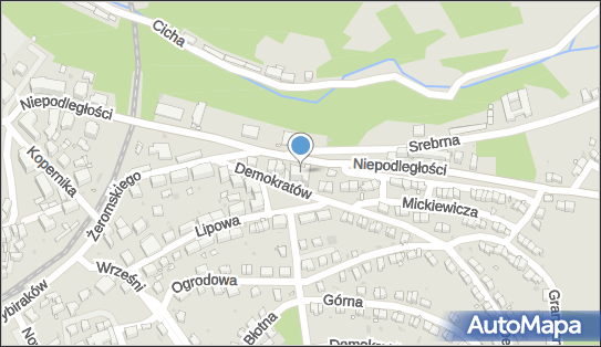 Prime, Niepodległości 9a, Nowa Ruda 57-400 - Przedsiębiorstwo, Firma, NIP: 8851638103