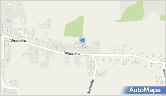 Pro Geo, Wesołów 95, Wesołów 32-840 - Przedsiębiorstwo, Firma, NIP: 8732907028