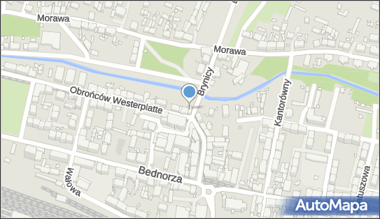 Produkcja Artykułów Zoologicznych Handel Skup i Sprzedaż Eksport Import 40-337 - Przedsiębiorstwo, Firma, NIP: 9542124045