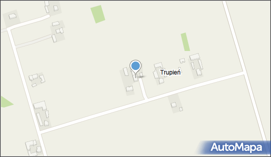 Produkcja Palet Kazimierz Dzierzbiński Tomasz Dzierzbiński Dariusz Filutowski 96-130 - Przedsiębiorstwo, Firma, numer telefonu, NIP: 8351006038