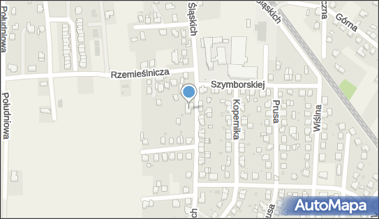 Professional Artur Czernecki, Powstańców Śląskich 14a 43-230 - Przedsiębiorstwo, Firma, NIP: 6381707632