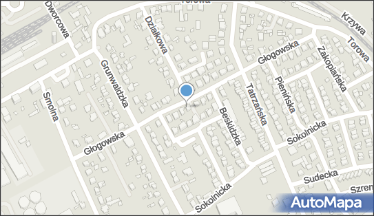 Projekt, Głogowska 26, Kalisz 62-800 - Przedsiębiorstwo, Firma, NIP: 6181306986