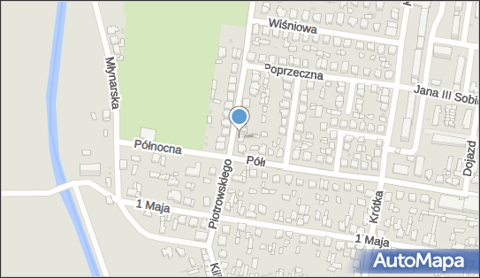 Prppuh Darz Bór, Piotrowskiego 10, Poddębice 99-200 - Przedsiębiorstwo, Firma, NIP: 8281053787