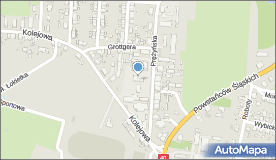 Prudnicki Uniwersytet Trzeciego Wieku, ul. Prężyńska 3-5-7 48-200 - Przedsiębiorstwo, Firma, NIP: 7551919027