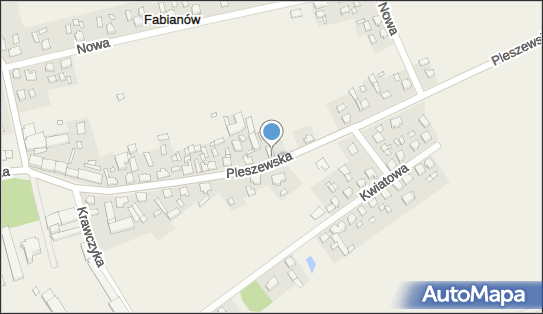 Prywatna Poradnia Zaburzeń Mowy, ul. Pleszewska 33, Fabianów 63-330 - Przedsiębiorstwo, Firma, NIP: 9680139901