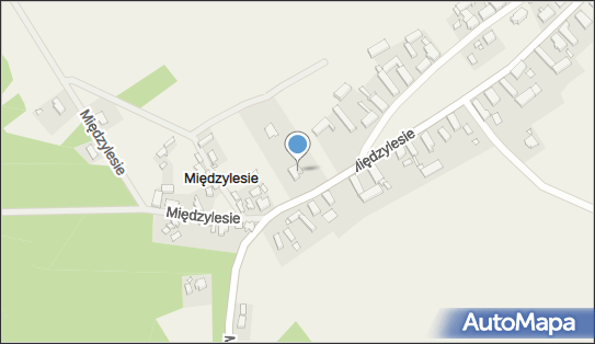 Prywatna Praktyka Lekarska Hurny, Międzylesie 31, Międzylesie 66-213 - Przedsiębiorstwo, Firma, NIP: 2220186887