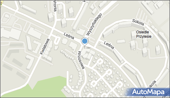 Prywatna Praktyka Ortodontyczna Karolina Wiśniewska, Leśna 8 59-300 - Przedsiębiorstwo, Firma, NIP: 6922515649