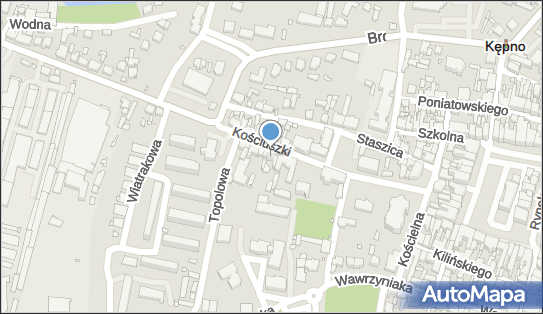 Prywatna Praktyka Pielęgniarki, ul. Kościuszki 11, Kępno 63-600 - Przedsiębiorstwo, Firma, NIP: 6191217936