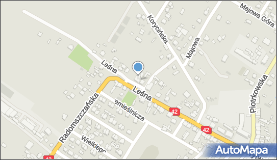 Prywatny Gabinet Lekarski Blaźniak Antoni, ul. Leśna 18C 97-570 - Przedsiębiorstwo, Firma, NIP: 7721421451