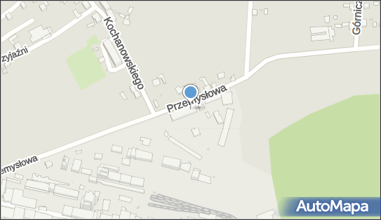 Prywatny Gabinet Lekarski Medycyny Pracy, Przemysłowa 12 44-230 - Przedsiębiorstwo, Firma, NIP: 9690722832