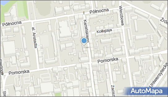 7291821891, Tomasz Sobów Neuropsychiatria 