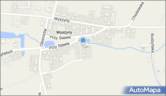 Prywatny Transport Ciężarowy Marcin Bartoszak, Wyszyny 40b 64-834 - Przedsiębiorstwo, Firma, NIP: 7642395044